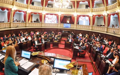 Solicitamos una audiencia a la Legislatura por la reforma de la Caja de Odontólogos